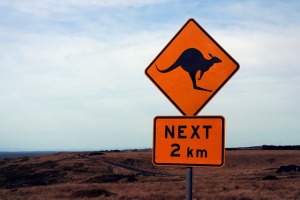 Australisches Straßenschild: Kanguru in 2km